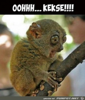 Da-freut-sich-einer.jpg auf www.funpot.net