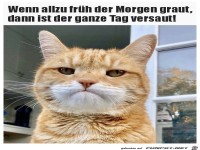 Der ganze Tag ist versaut