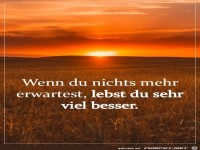 Wenn du nichts mehr erwartest