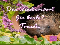 Das Zauberwort fuer heute