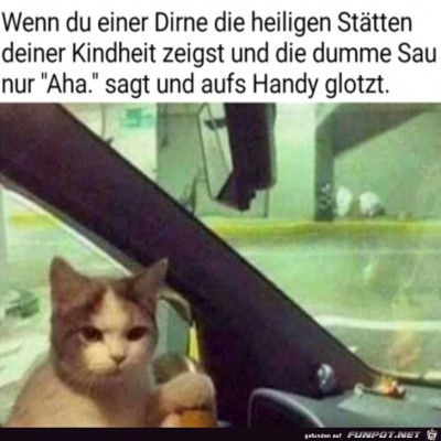 Diese-dumme-Sau.jpg von Ida