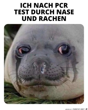 Der-PCR-Test.jpg auf www.funpot.net