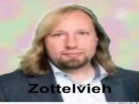 Anton H