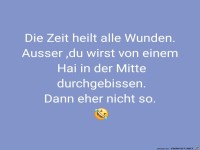 Wunden