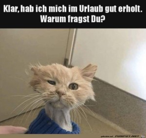 Sehr-erholt.jpg auf www.funpot.net