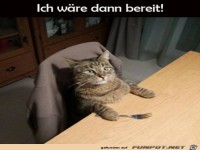 Bereit f�rs Essen