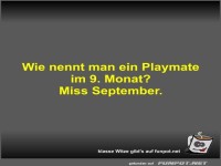 Wie nennt man ein Playmate im 9