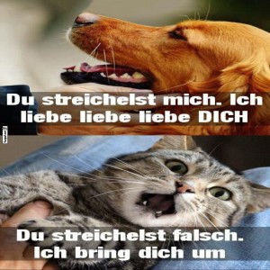 Zuneigungsunterschiede-auf-Pfotenhhe.jpg von Cecilia