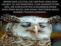 Eule des unendlichen Erklrens