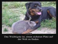 Unwahrscheinliche Freundschaften