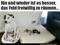 Freiwillig das Feld ger�umt