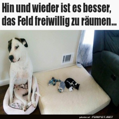 Freiwillig-das-Feld-ger&auml;umt.jpg von Brenda22