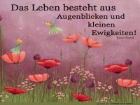 Ein Moment f�r die Ewigkeit und Elfen!