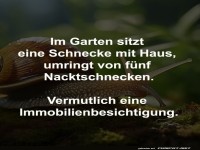 Schnecken auf Immobilienjagd