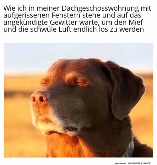 Endlich-frische-Luft-im-Dachgeschoss!.jpg auf www.funpot.net