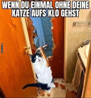 Cat's-Creative-Bathroom-Break-In.jpg auf www.funpot.net