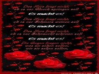 Das Herz fragt nicht