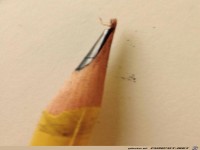 alltaegliche Aergernisse01