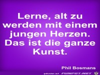 lerne alt zu werden