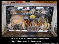 So funktioniert die Sp�lmaschine