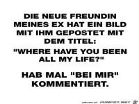 die neue Freundin meines EX.....