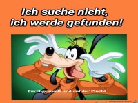 Suche nicht