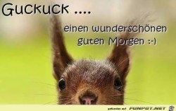 Guten-Morgen.jpg auf www.funpot.net