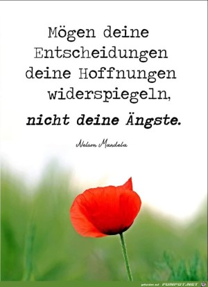 Moegen-deine-Entscheidungen.jpg auf www.funpot.net