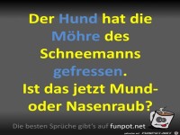 Hund hat M�hre gefressen