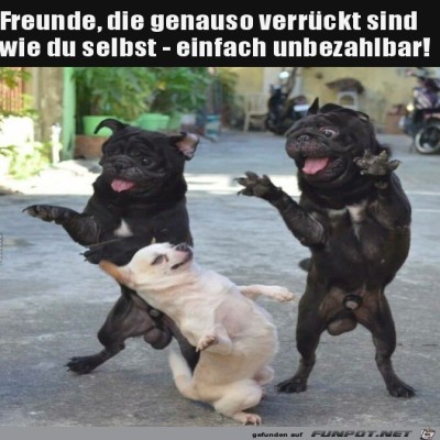 Verr&uuml;ckte-Freunde.jpg von Lasse