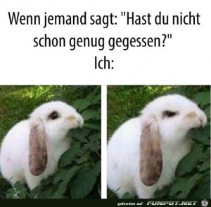 Genug-gegessen.jpg auf www.funpot.net