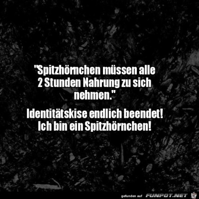 Spitzhörnchen.jpg von Supersusi