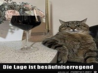 Die Lage ist bes�ufniserregend