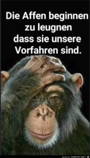 Kann-man-verstehen.jpg auf www.funpot.net