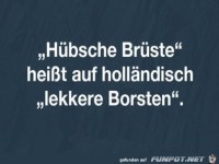 lekkere Borsten