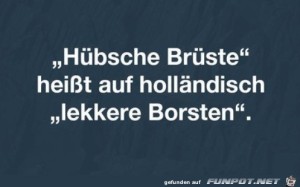 lekkere-Borsten.jpg auf www.funpot.net