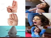 Humorvolle Bildserie mit verschiedenen Gesten