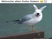 Frohe Ostern