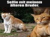 weiter