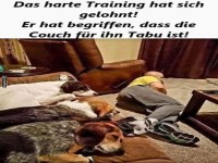 Das harte Training hat sich gelohnt!