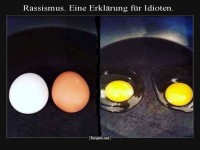 Eierlektionen: Schale macht's nicht aus!