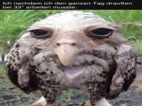 Wenn der Wetterbericht dich auslacht