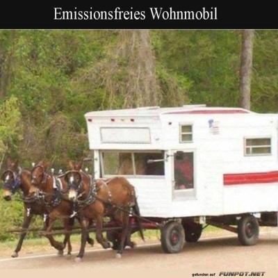 Pferdestärken-statt-Pferdestärken.jpg von Wilhelmine