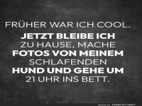 Vom Partyg�nger zum Hundepaparazzo