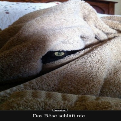 Das-geheime-Leben-der-Bettdecke.jpg von Valentina