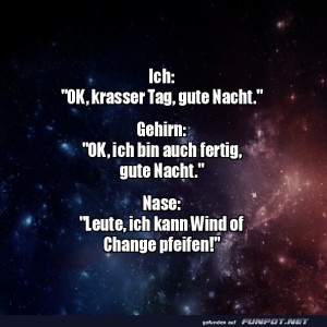 Wenn-die-Nase-das-neue-Konzert-er�ffnet.jpg von Erwin32