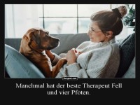 Vier Pfoten und ein Herz voller Trost