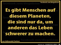 diegeilsten Menschen