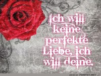 Ich will keine perfekte Liebe...