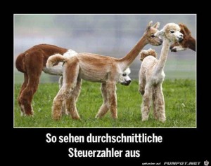 steuerzahler.jpg auf www.funpot.net